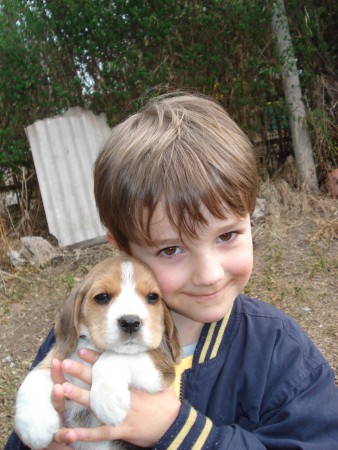 Beagle, el favorito de los niños